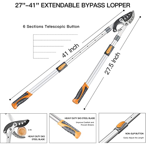 Extendable Anvil Loppers Dimension and size